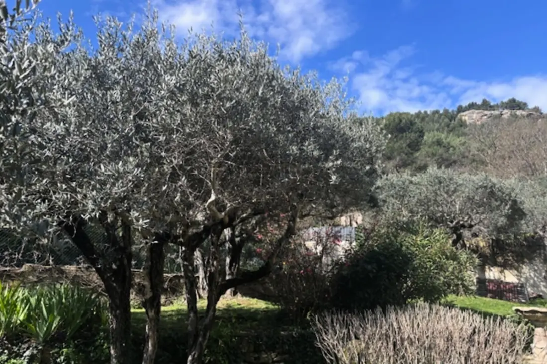 Villa D'helène - Panoramic Views