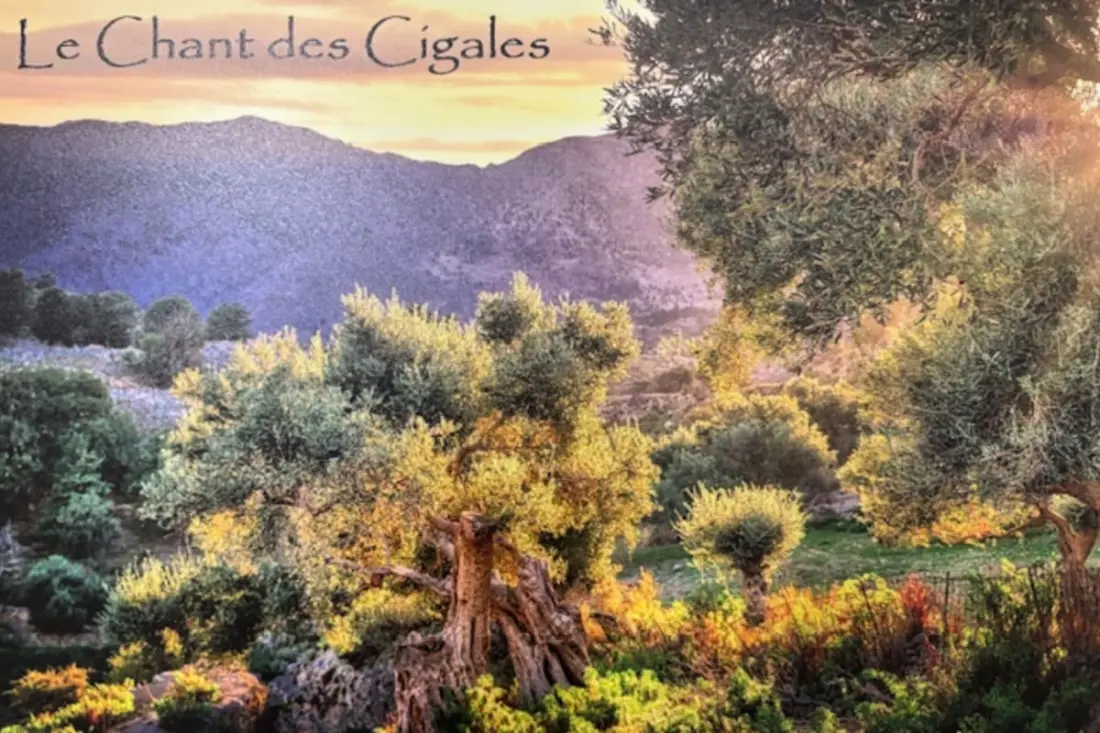 A Cigales dala