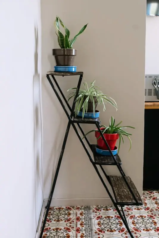 Világos apartman medencével és gyógyfürdővel