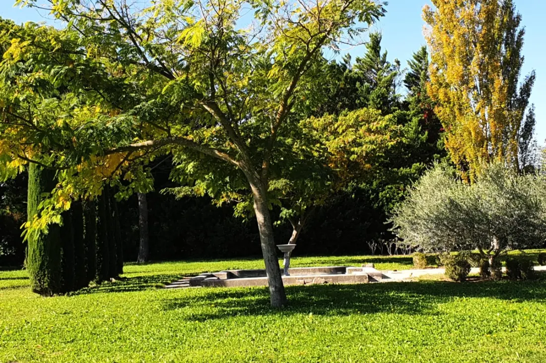 Le Mas De Jalique - Isle-sur-la-sorgue