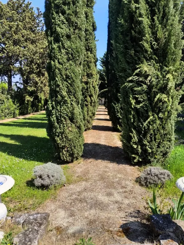 Le Mas De Jalique - Isle-sur-la-sorgue