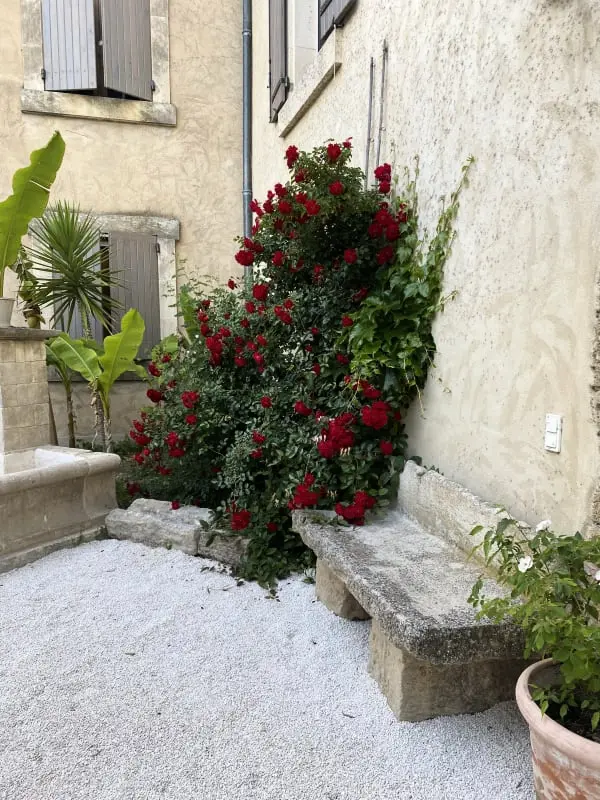 Mas Sylvie - Isle-sur-la-sorgue