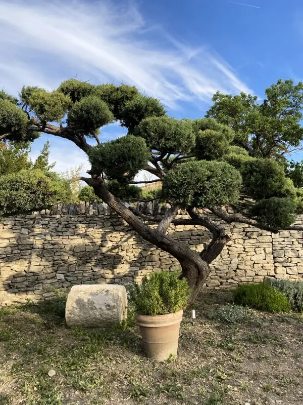 Mas Sylvie - Isle-sur-la-sorgue