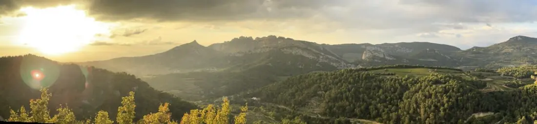 A Provence Napja alatt