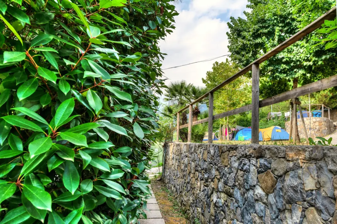 Camping Delle Rose 4 Stars★★★★