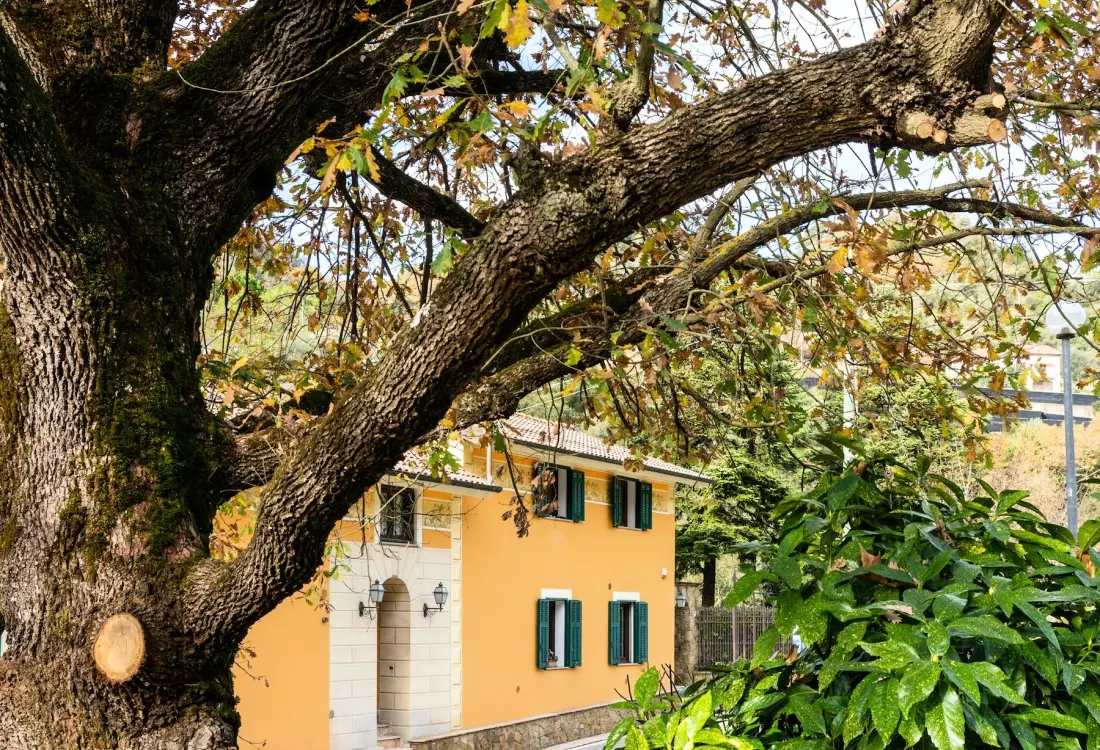 Camping Delle Rose 4 Stars★★★★