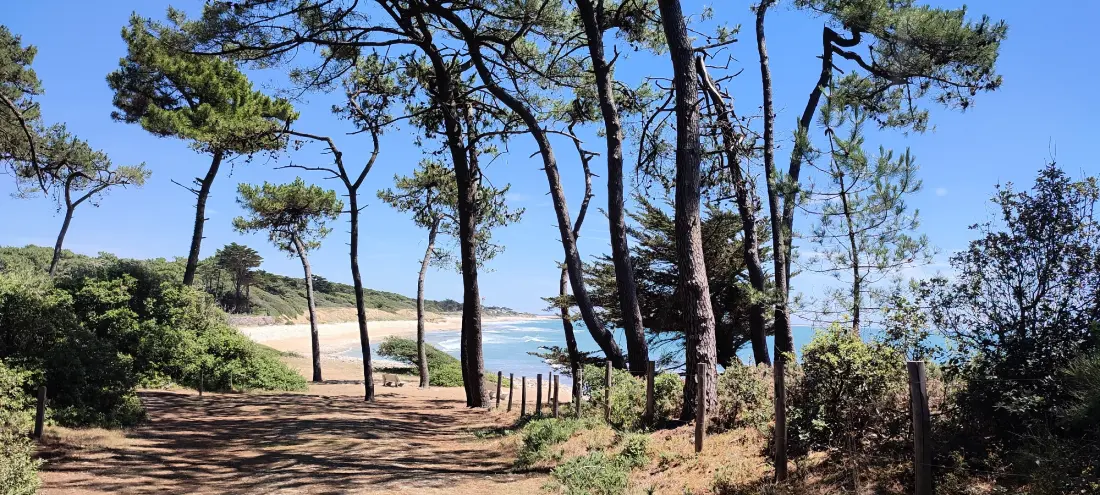 Apartmanok Jard sur Mer
