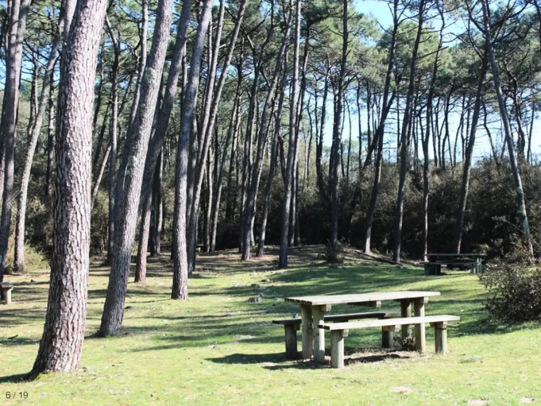 Campingplatz Le Bosquet2 Sterne★★