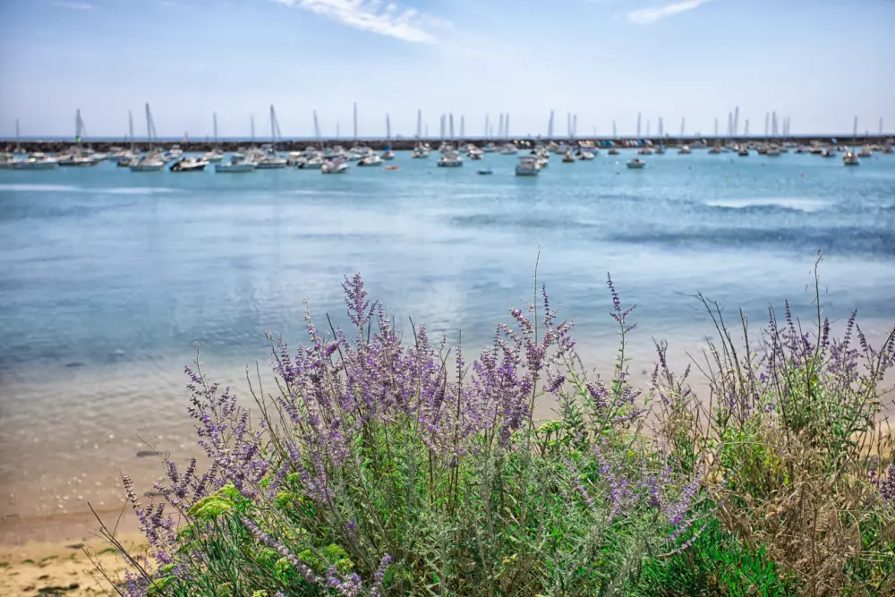 Camping Le Bosquet2 étoiles★★