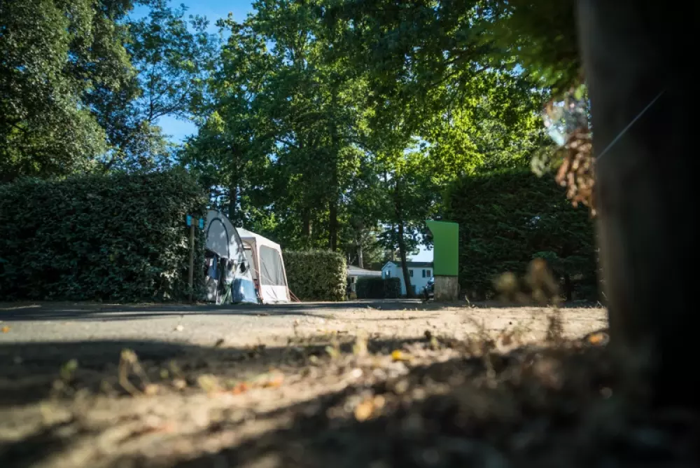 Camping Paradis La Pomme de Pin4 Sterren★★★★