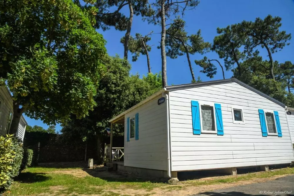 Camping Paradis La Pomme de Pin4 Sterren★★★★