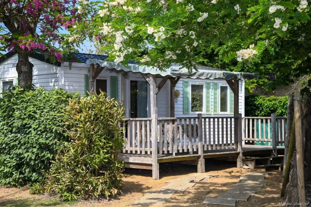 Camping Paradis La Pomme de Pin4 Sterren★★★★