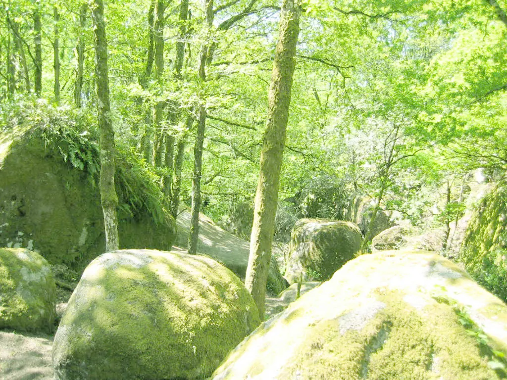 Gîte de France Ecogîte des monts de blond 2 oren