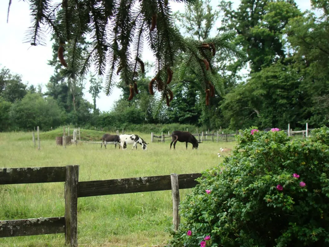 Gîte de France Lou peyrahout 3 oren