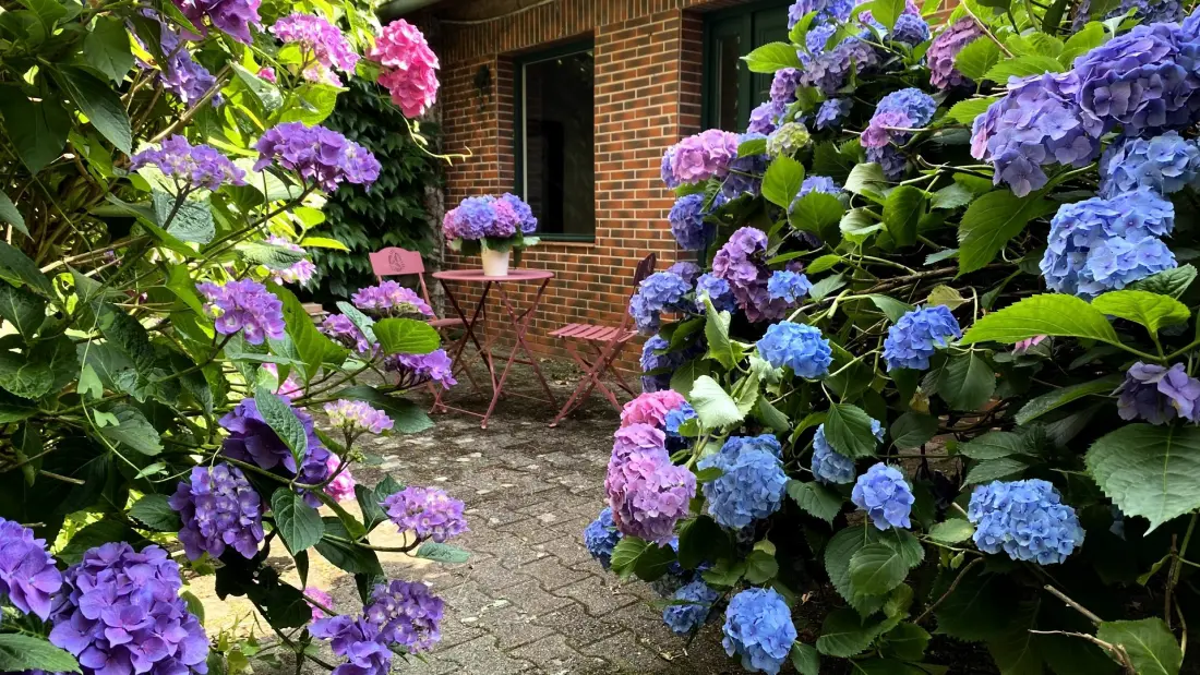 Gîte de France Lou peyrahout 3 oren