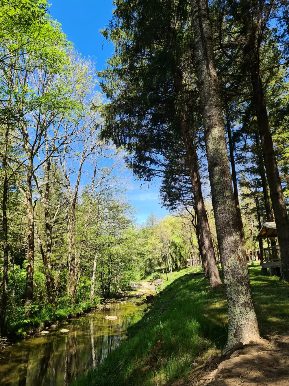 Camping Le Roubreau 3 étoiles★★★
