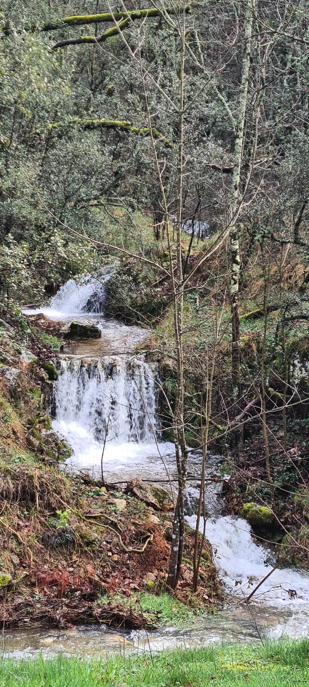 Campsite Le Roubreaku