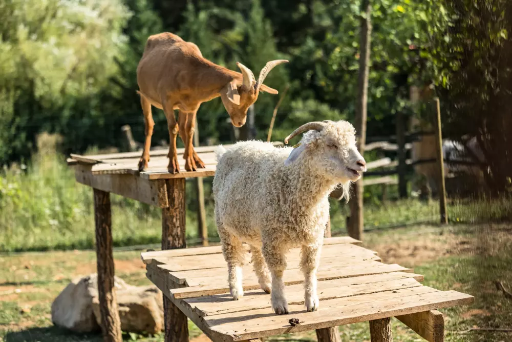 Campingplads La Nouzarède