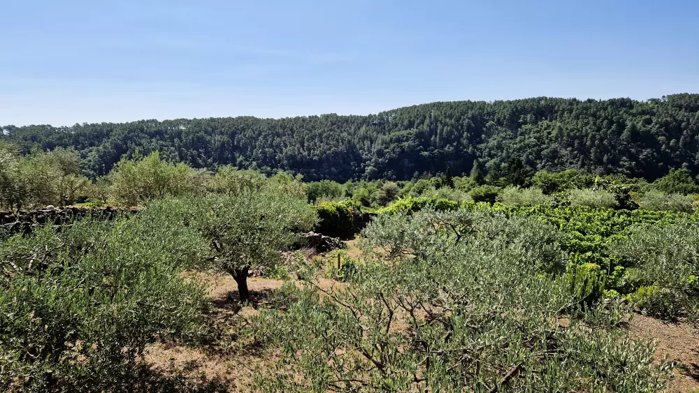 Camping Paradis Bois Simonet4 Sterren★★★★