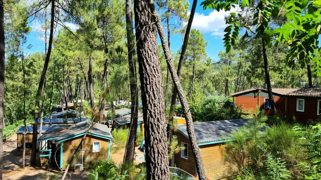 Camping Paradis Bois Simonet4 Sterren★★★★