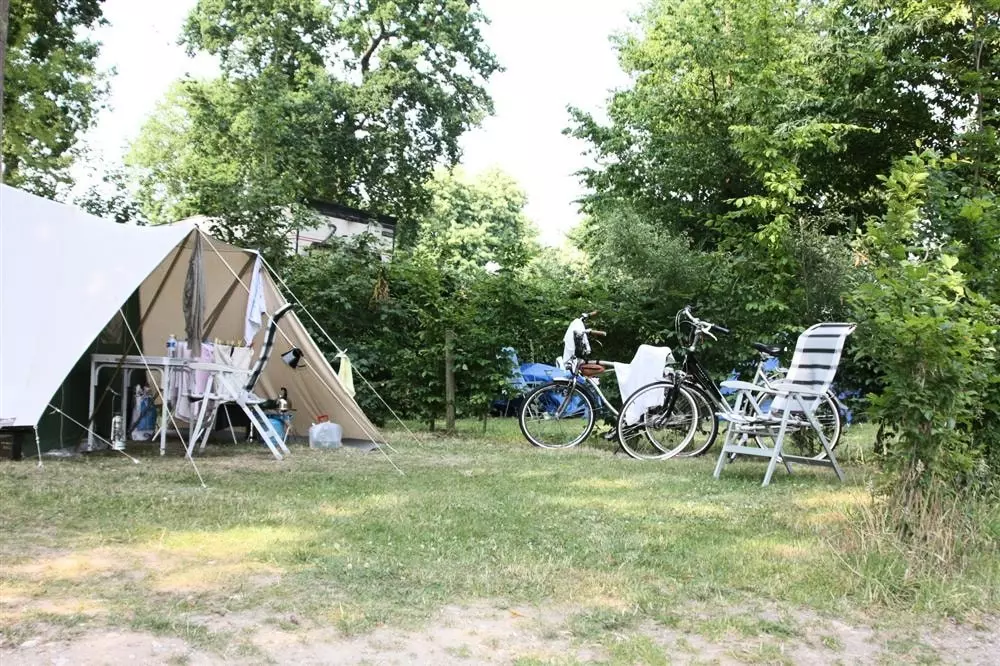Camping de la Forêt 4 Sterren★★★★