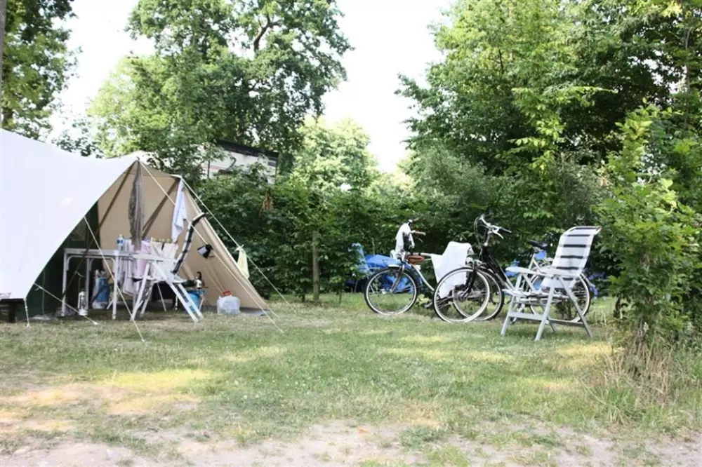 Camping de la Forêt 4 Sterren★★★★