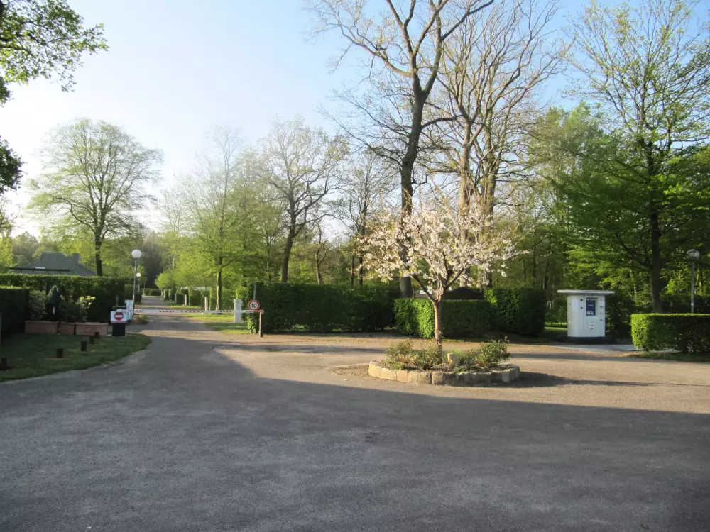 Camping de la Forêt 4 Sterren★★★★