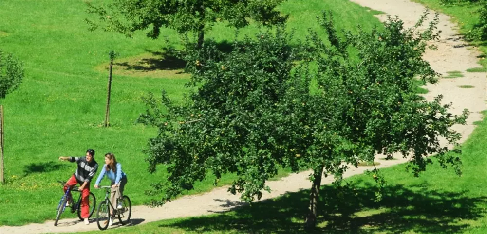 Camping de la Forêt 4 Sterren★★★★