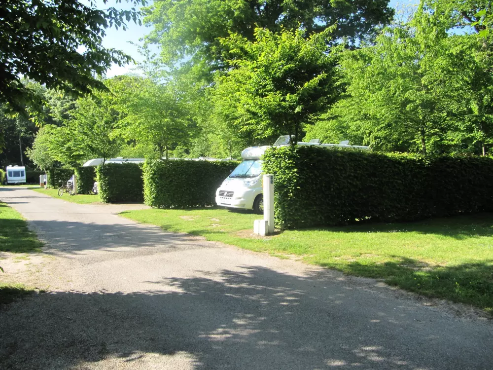 Camping de la Forêt 4 Sterren★★★★