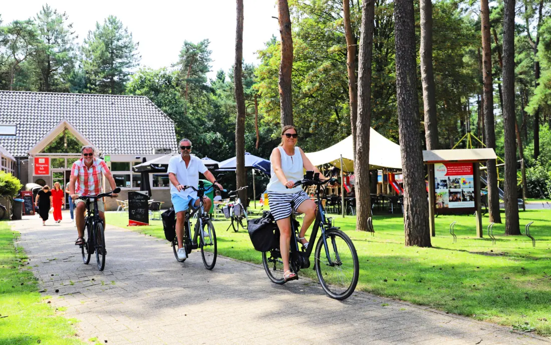 Campingplatz Kempen 4 Sterne★★★★