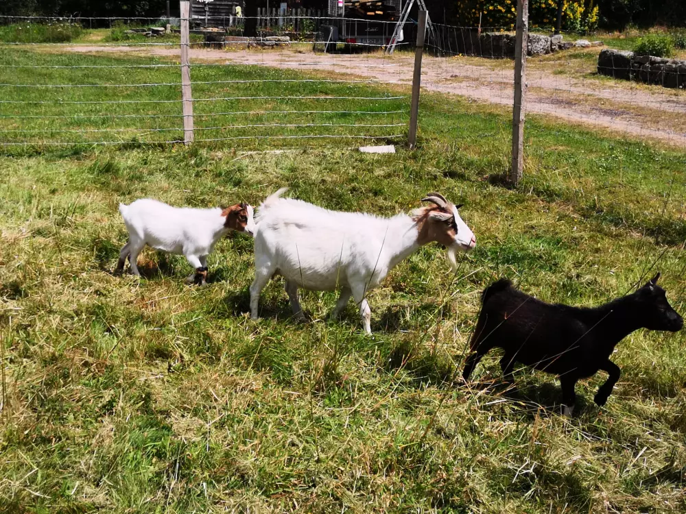 Domaine Du Scorff 3 Stars★★★