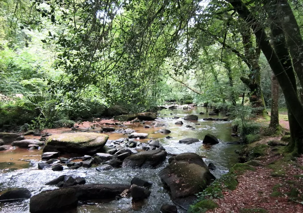 Domaine Du Scorff 3 Stars★★★