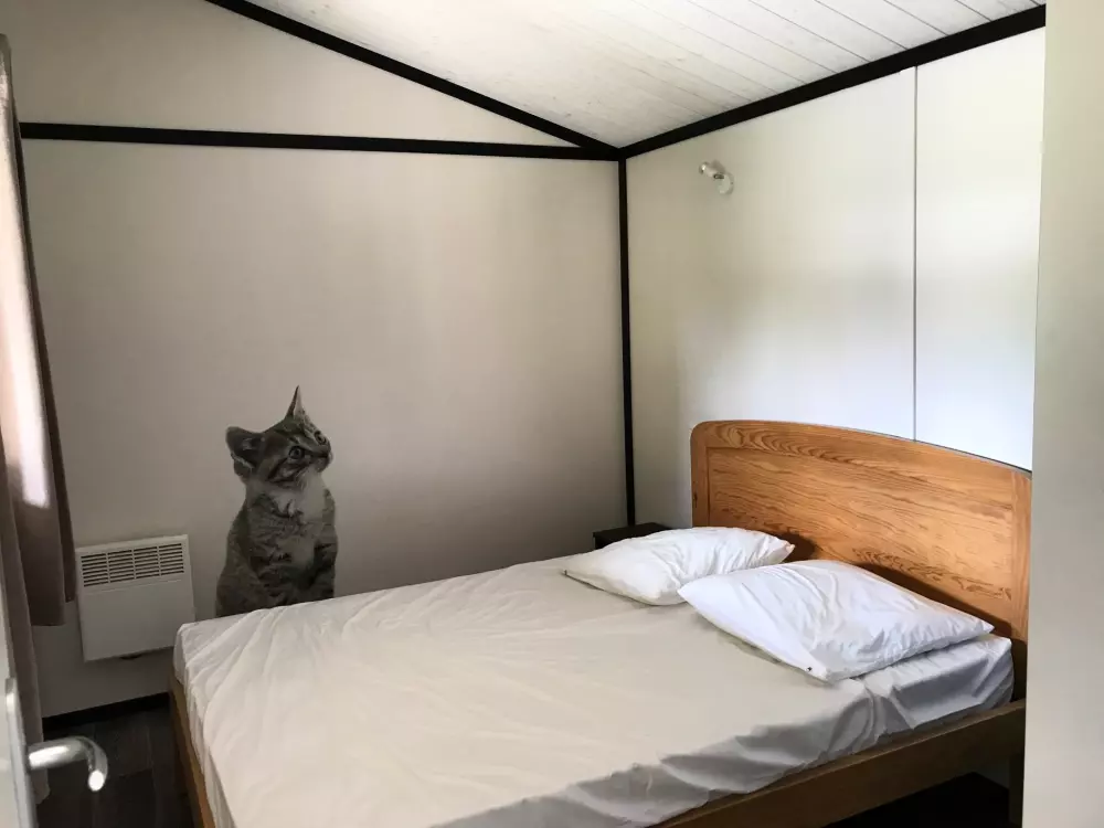 Domaine Du Scorff 3 Stars★★★