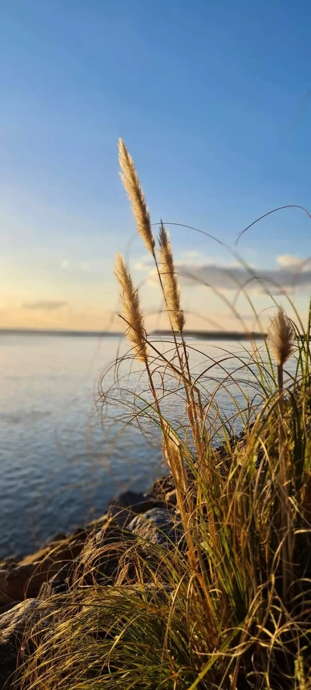 Blomster Camping Le Pré des Sables