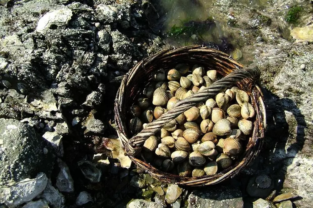 Blomster Camping Le Pré des Sables
