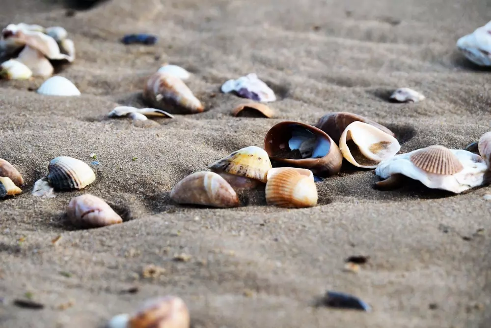Blomster Camping Le Pré des Sables
