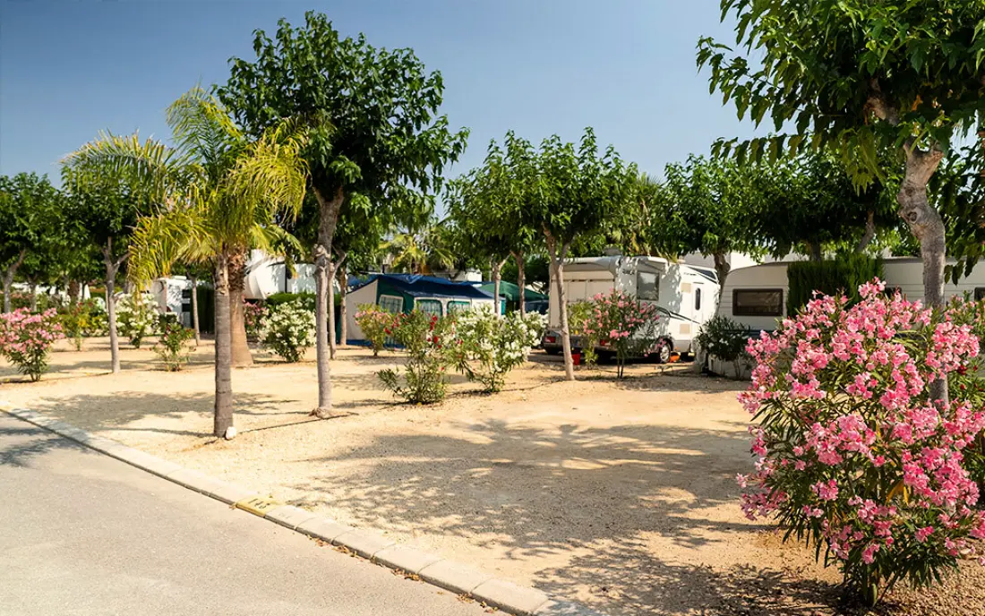 Camping Almafra 5 Sterren★★★★★
