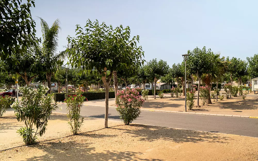 Campingplatz Almafra 4 Sterne★★★★