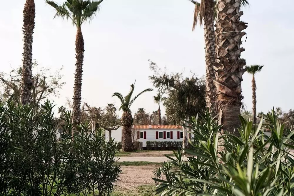 Camping Taiga Delta de l'Ebre 4 Stars★★★★