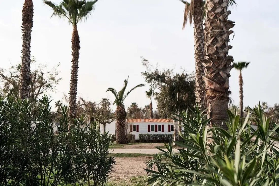 Camping Taiga Delta de l'Ebre 4 Sterne★★★★