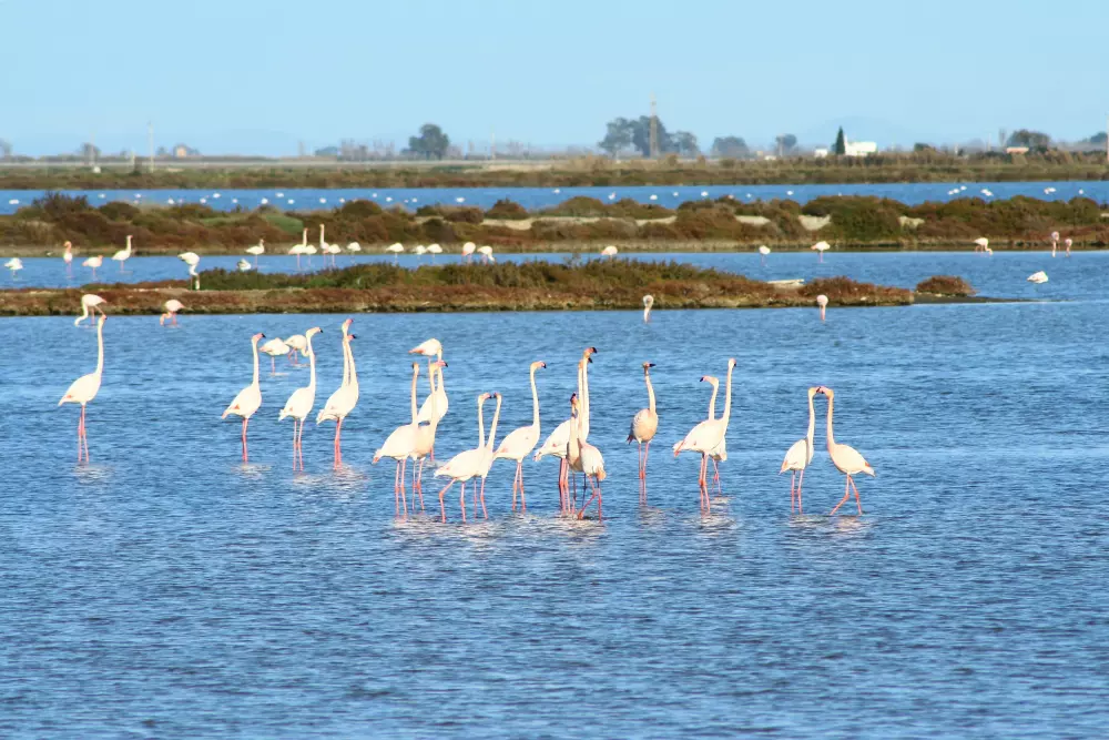 Camping Taiga Delta de l'Ebre 4 Stars★★★★