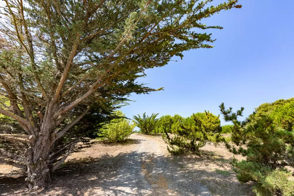 Campingplatz Sandaya de la Bosse2 Sterne★★