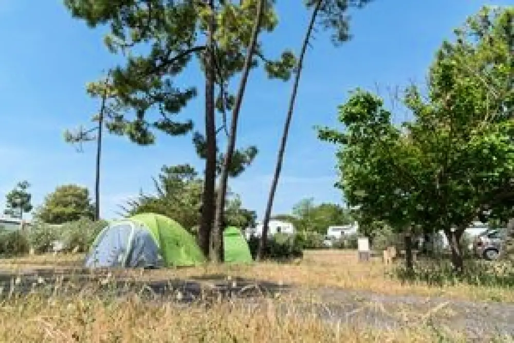 Camping Sandaya de la Bosse2 Stars★★