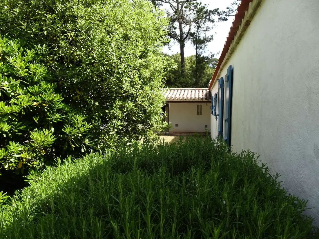 Residence Ep000-06p-l Epine