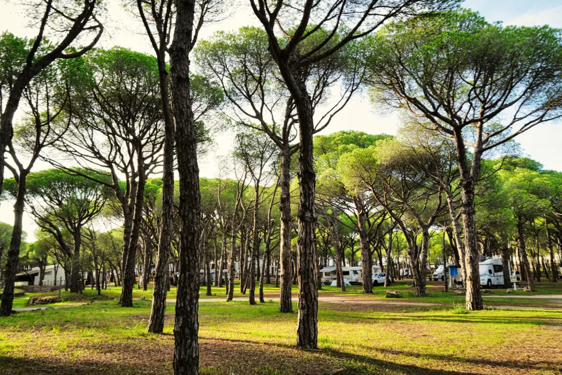 Wecamp Cala Montgó 4 Sterren★★★★