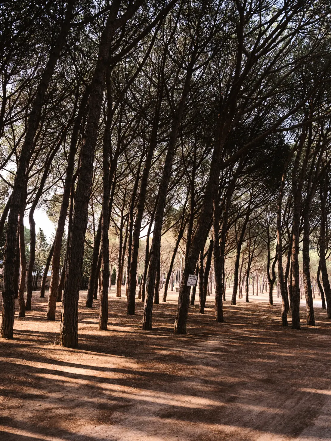 Wecamp Cala Montgó 4 Sterren★★★★