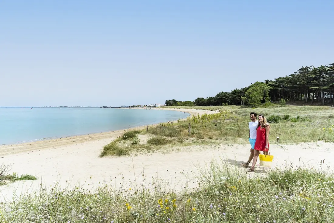 Camping La Grande Côte 41 Estrellas★ - Beach
