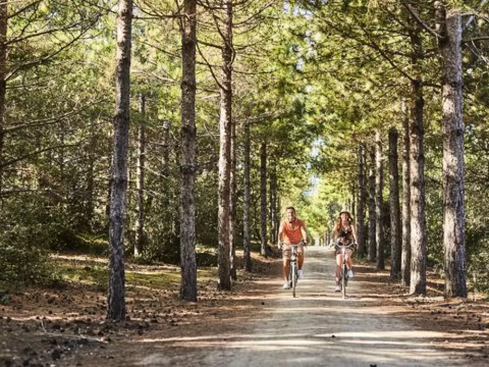 Campingplatz Le Marais Neuf 3 Sterne★★★