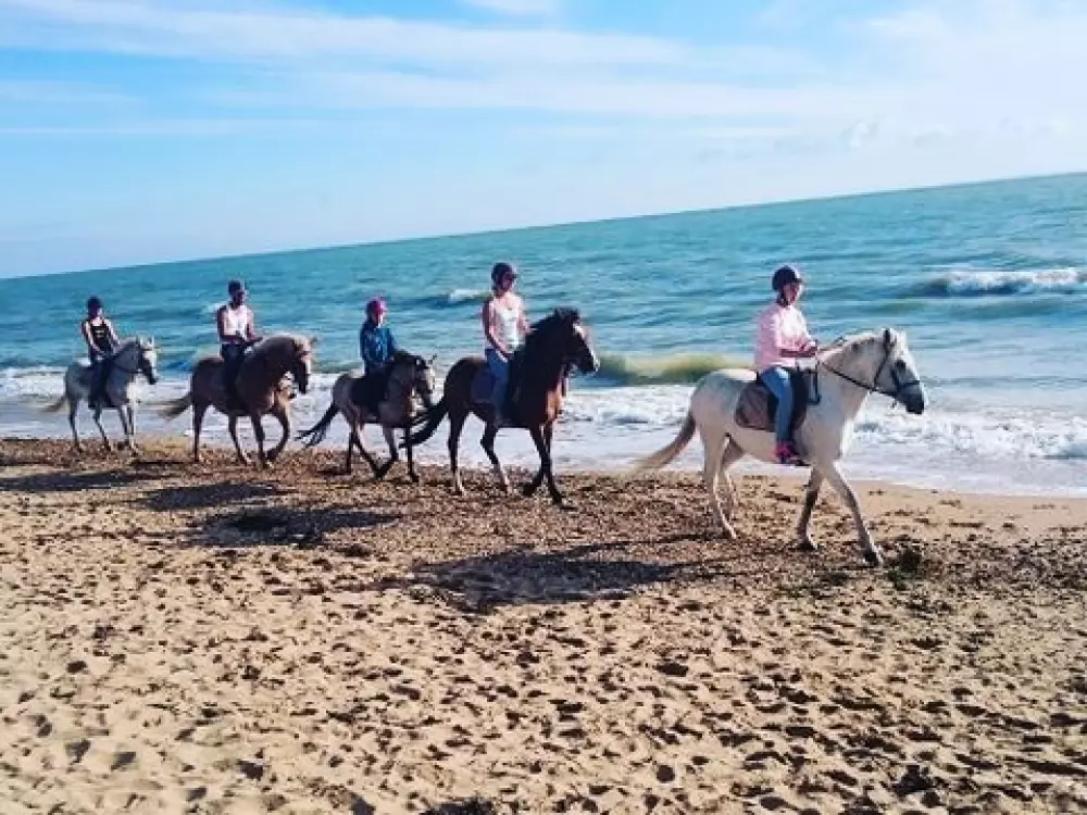 Campingplatz Le Marais Neuf 3 Sterne★★★