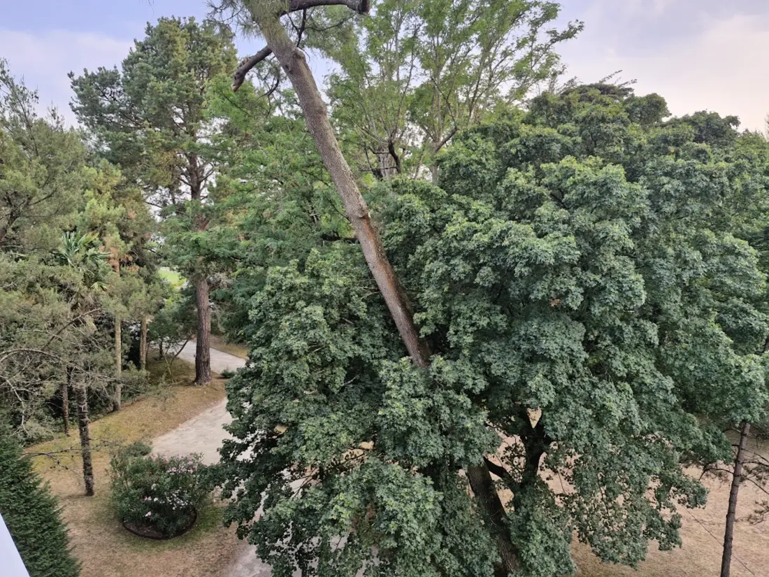 Apartmanok La Baule